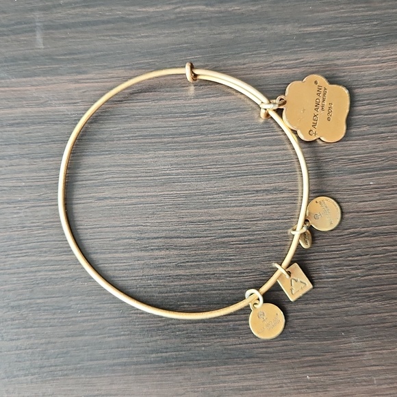 Alex and Ani Paw Print Charm Bracelet - Picture 3 of 4